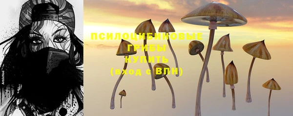 сатива Бугульма