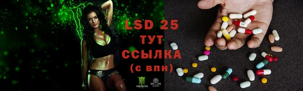 spice Бронницы